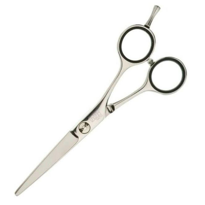 Hairtools Basix Classic 5" Scissor 1