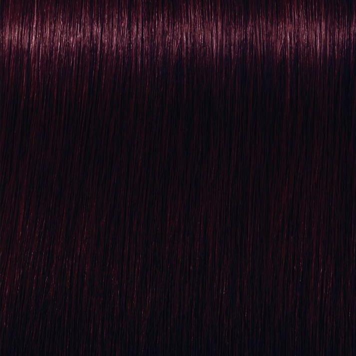 Igora Royal 4-99 60ml 1